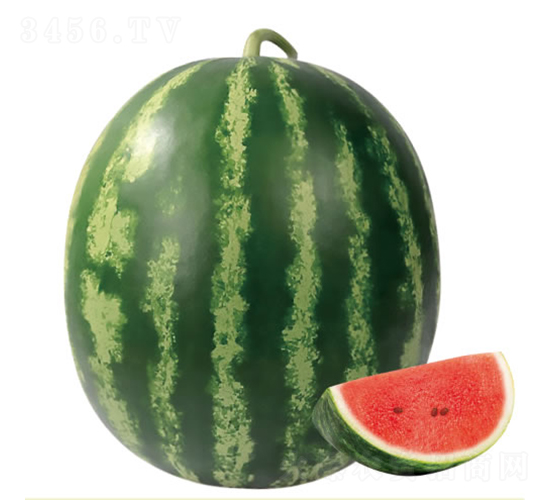 ����2̖-���ϷN��-�c�l(f��)��ʢ