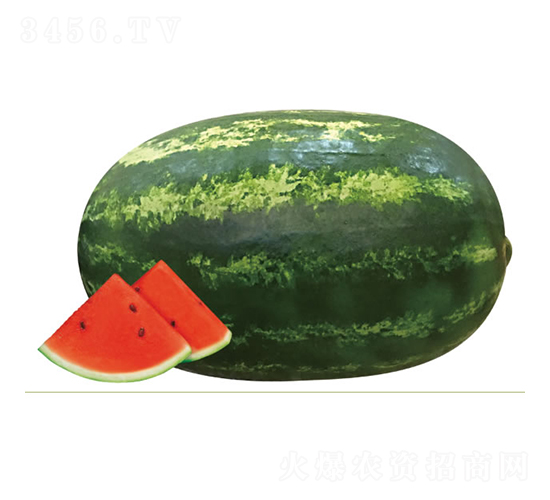 ����1̖-���ϷN��-�c�l(f��)��ʢ