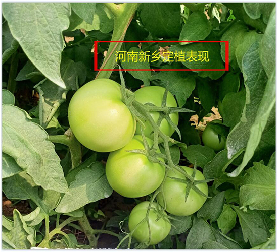 ����1622-���ѷN��-���зN��