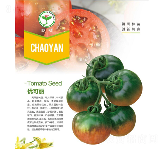 ��(y��u)����-���ѷN��-���зN��