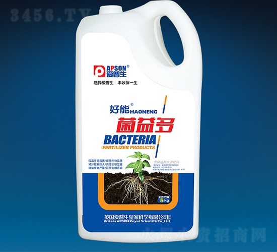 �����-����-������