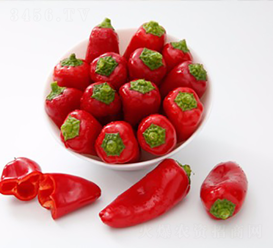 ����-�����N��-���շN��