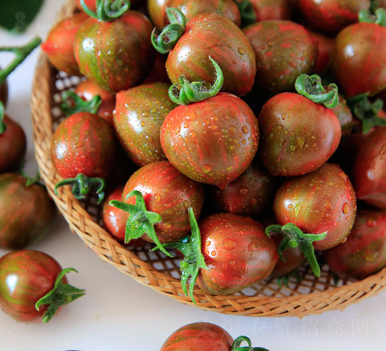 ����-���ѷN��-���շN��