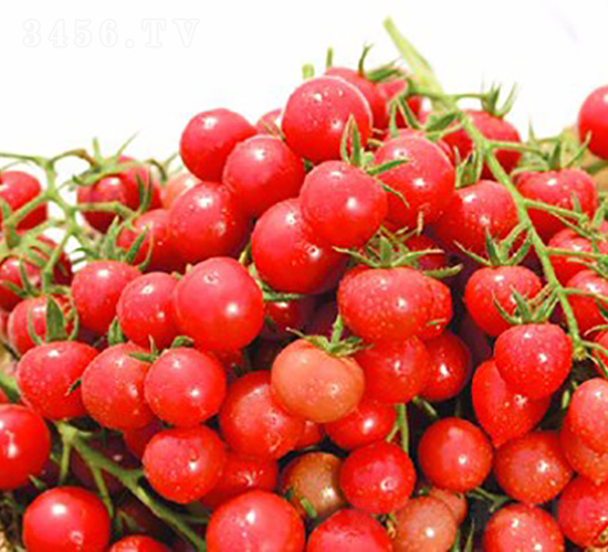 ��������-���ѷN��-���շN��