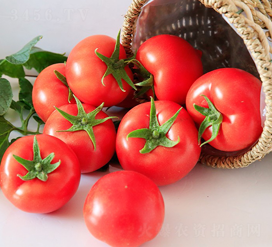 ����802-���ѷN��-���շN��