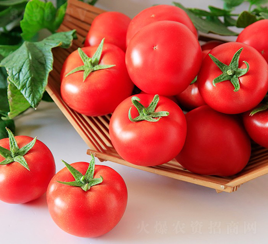 ����727-���ѷN��-���շN��