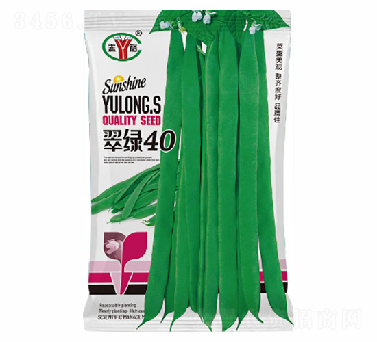 ��G40-�Z���_(d��)