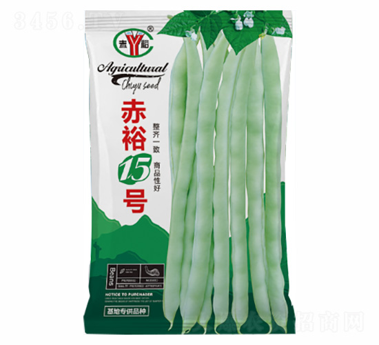 ��ԣ15̖-�Z���_