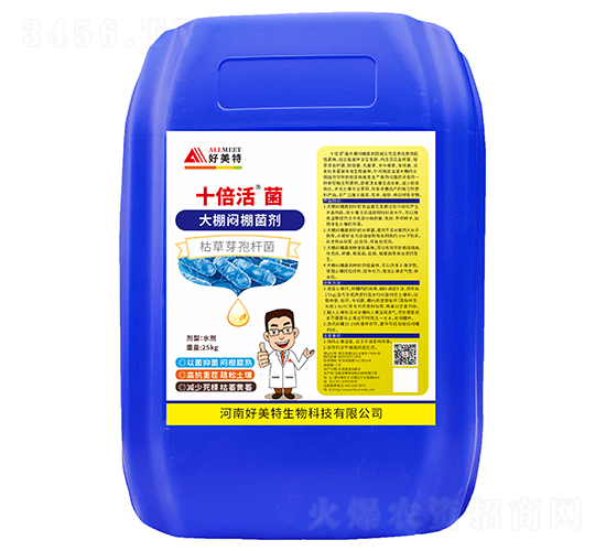 ʮ�������������-������