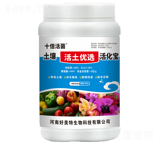 ����������(y��u)�x���-ʮ�����-������