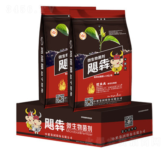 ΢�������-�Z��-�����ʘI(y��)