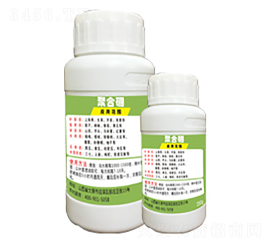 �ۺ���-�G�̿�-�x����