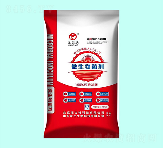 ΢�������-��ؐ��-����