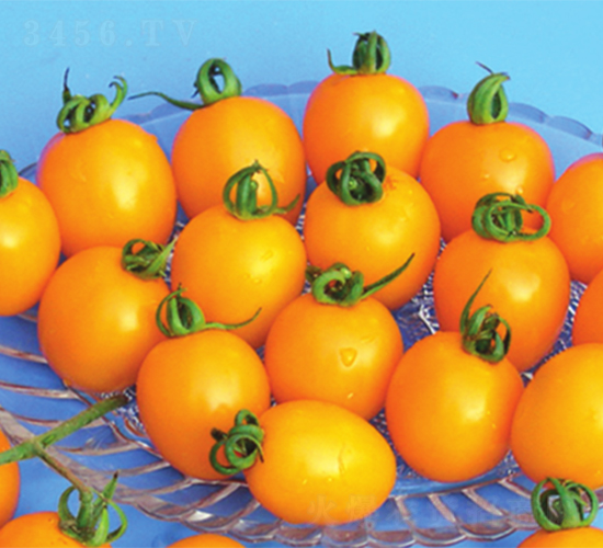 ����-���ѷN��-����