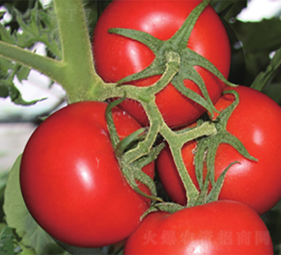 ����039-���ѷN��-����