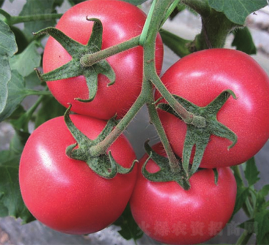 �~����-���ѷN��-����