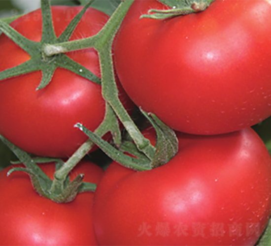 �_��-���ѷN��-����