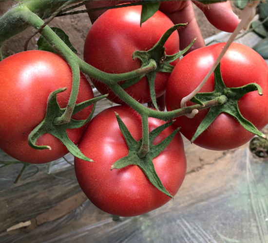 �_(d��)��-���ѷN��-����