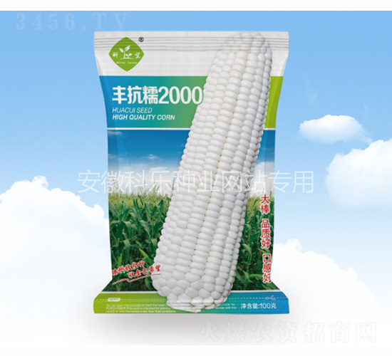 �S��Ŵ2000-�Ƙ�(l��)�N�I(y��)