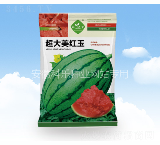 �������t��-�Ƙ��N�I(y��)