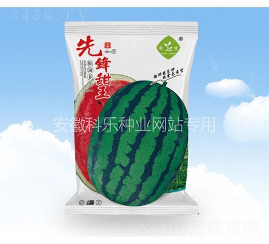 ���h����-�Ƙ��N�I(y��)