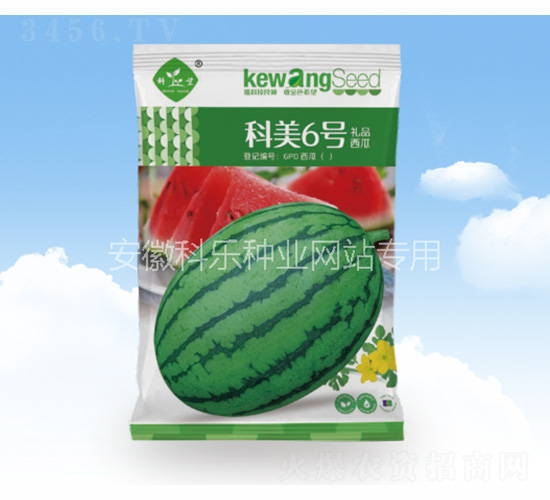 ����6̖-�Ƙ��N�I(y��)