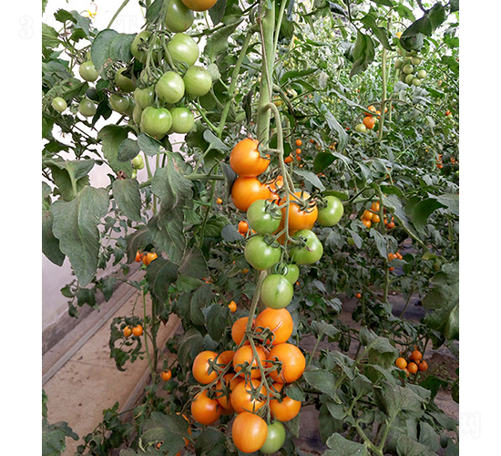 ɯ��1̖-���ѷN��-���r�r�I(y��)