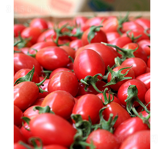 ���r(n��ng)���2̖(h��o)-С���ѷN��-���r(n��ng)�r(n��ng)�I(y��)