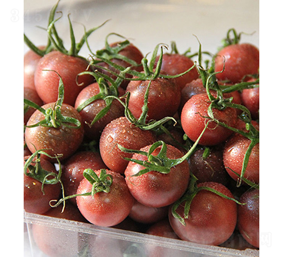 ���r������-С���ѷN��-���r�r�I(y��)