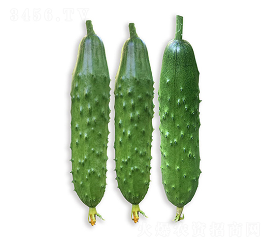 ���r(n��ng)�G��8̖-�S�ϷN��-���r(n��ng)�r(n��ng)�I(y��)