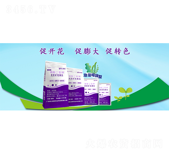 �`�`����������(l��)-��������