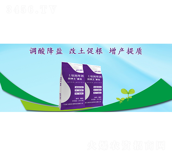 �＝ʿ�����������{�턩-��������