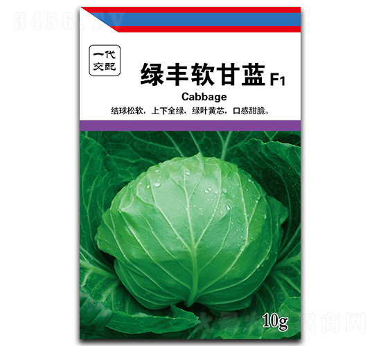 �G�Sܛ���{(l��n)-���{(l��n)�N��-��ľï��