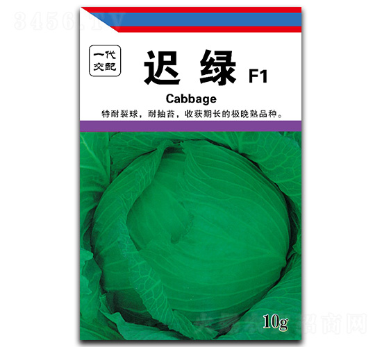 �t�G-���{�N��-��ľï��