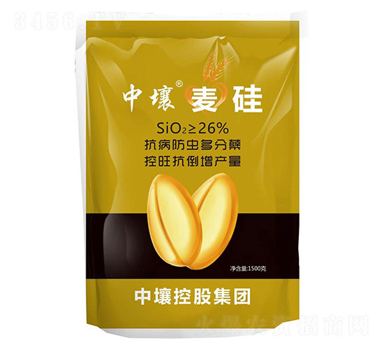 ����-����