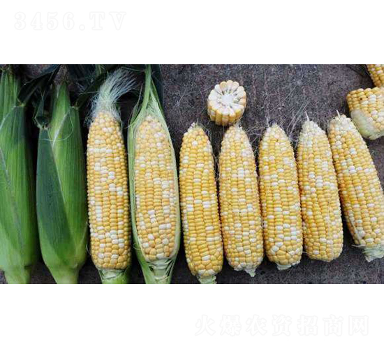 2019-826���׷N��-�r(n��ng)�ƷN��