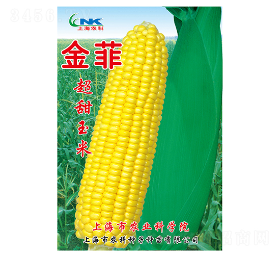 ������׷N��-�r(n��ng)�ƷN��