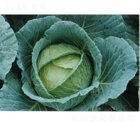 ����16���{(l��n)�N��-�r(n��ng)�ƷN��