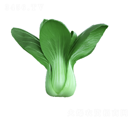 ����605��˷N��-�r(n��ng)�ƷN��