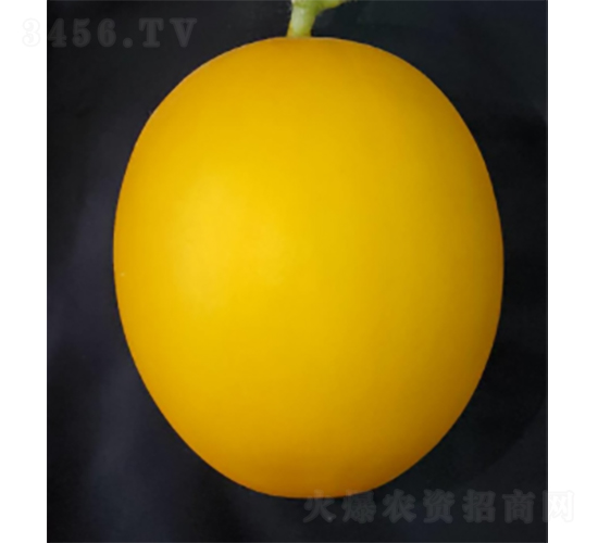 ������3̖-���ϷN��-�r(n��ng)�ƷN��