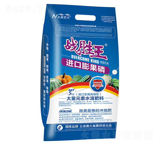 ��(zh��n)�����M�������-�M������������