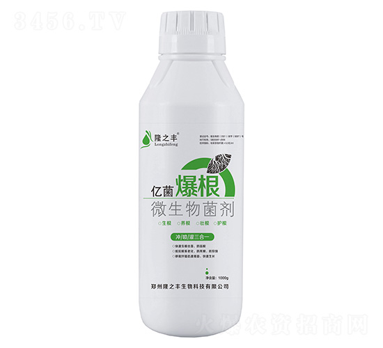 ΢�������-�|������-¡֮�S