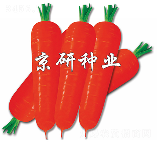 �tо100-���}���N��-���зN�I(y��)