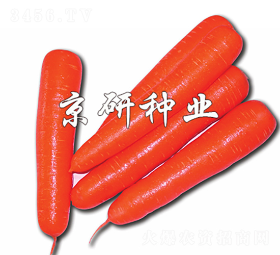 �tо120-���}���N��-���зN�I(y��)