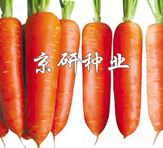 �A�u208-���}���N��-���зN�I(y��)