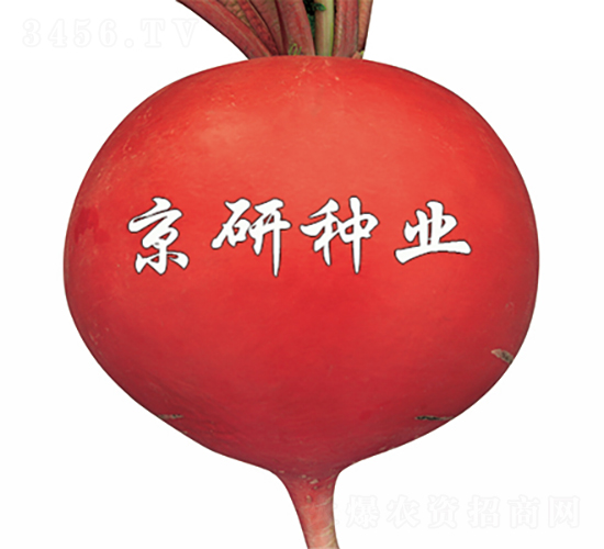 ���t3̖(h��o)-�}���N��-���зN�I(y��)