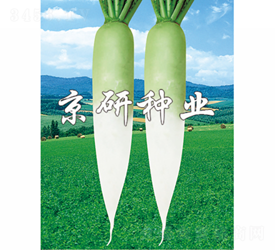 ����2̖-�}���N��-���зN�I(y��)