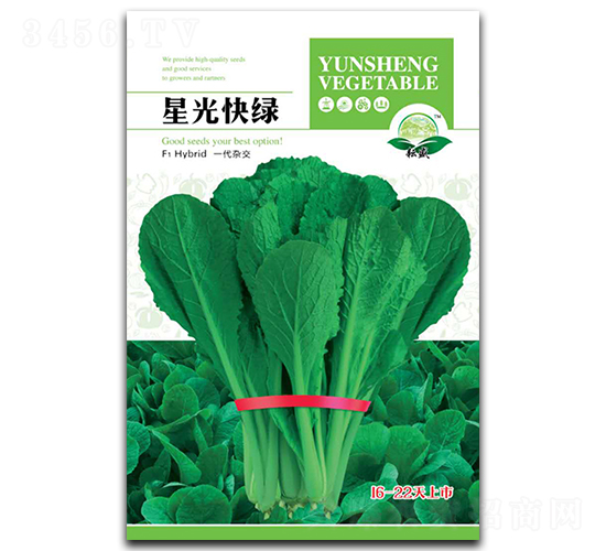 �ǹ��G-�ײ˷N��-��ʢ