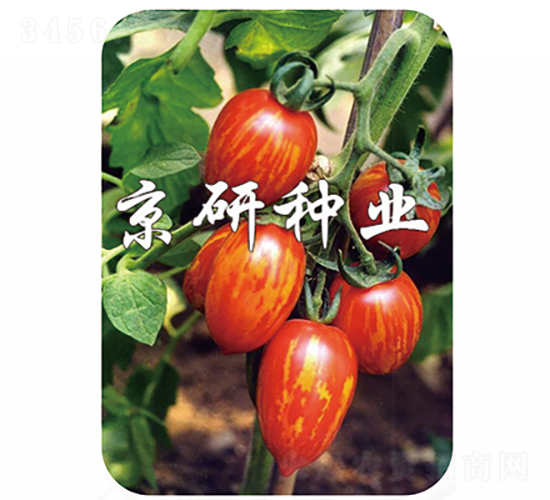 ����1̖(h��o)-���ѷN��-���зN�I(y��)