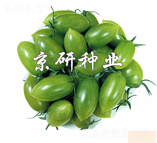 �G��ʯ2̖-���ѷN��-���зN�I(y��)